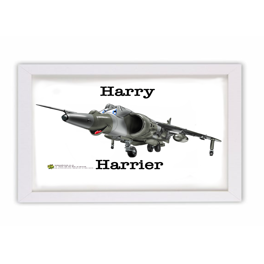 harry frame